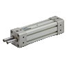 Twin hollow piston rod cylinders