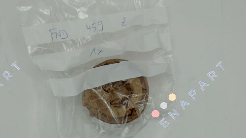 19FND459Z - FND 459 Z フリーホイールクラッチユニット一式