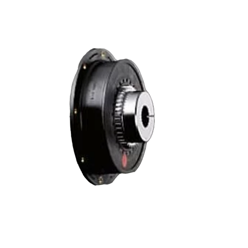 BoWex-ELASTIC100HE2T50870U