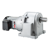 LH Horizontal High Ratio Gear Motors