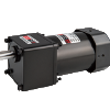 AC Small Motors