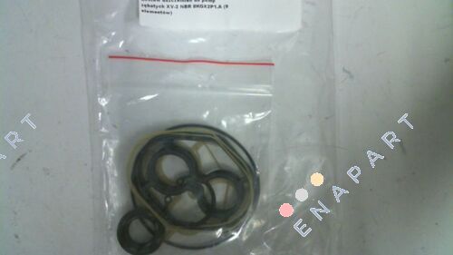 Seals kit XV-2 NBR 8KGX2P1.A