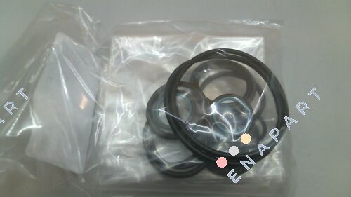 DS000061 repair kit for WL5-P10-W-4